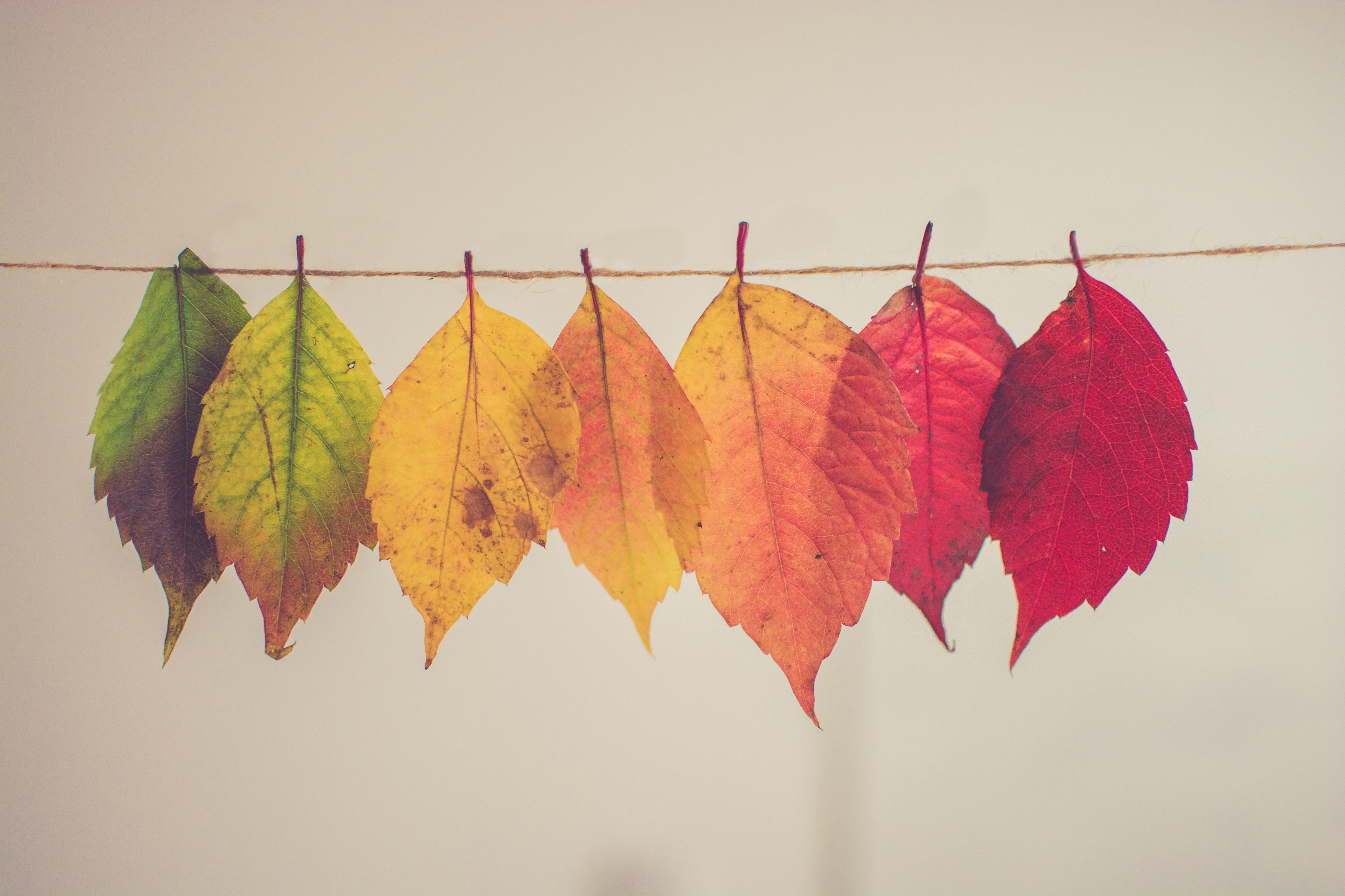 chris-lawton-154388-unsplash